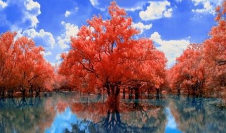 Earth Reflection Reflection 6326