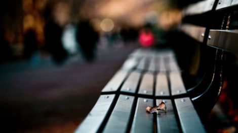 Nature Bench Creative Photography Wallpaper