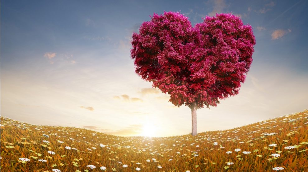 love heart tree fields 1366x768