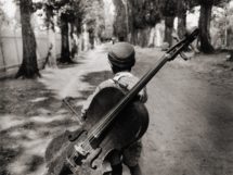 cello gypsy monochrome old photography children eva besny Wallpaper 1280x960 www.wallpaperswa.com