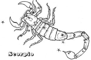 scorpio