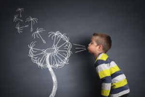 Child blowing dandelion seeds 65712040